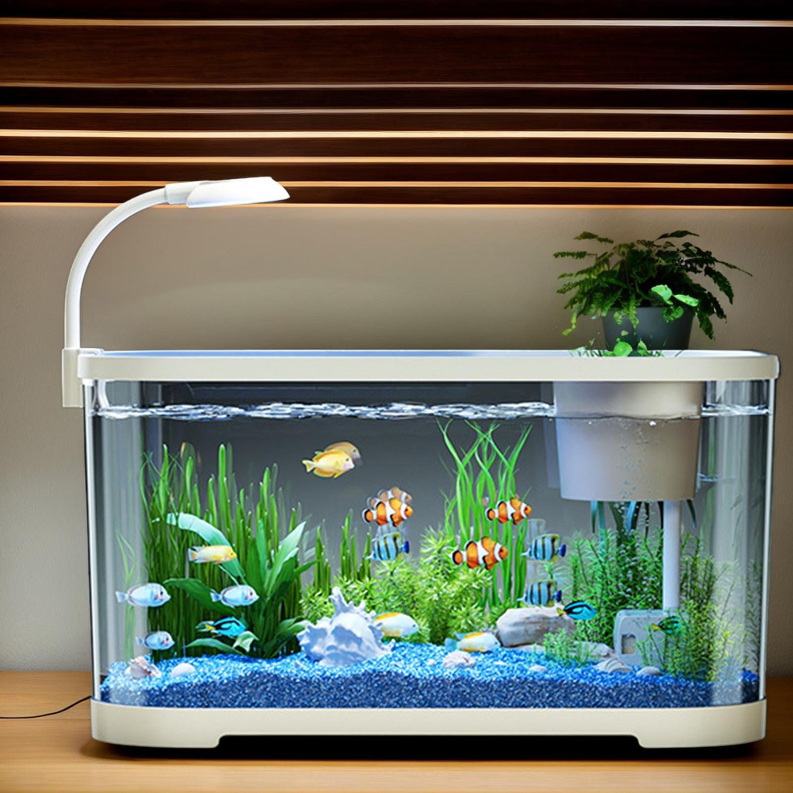 Aquarium Xl - Aquarium Kit Starter Betta Fish Tank