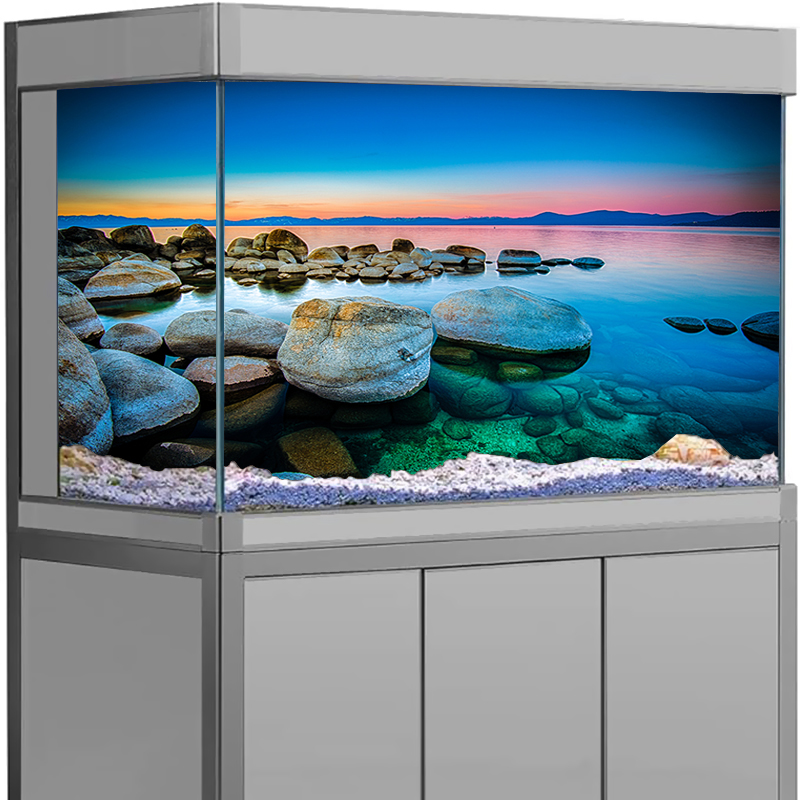 Aquarium Fish Poster - Aquarium Background Sticker Stone Sea View