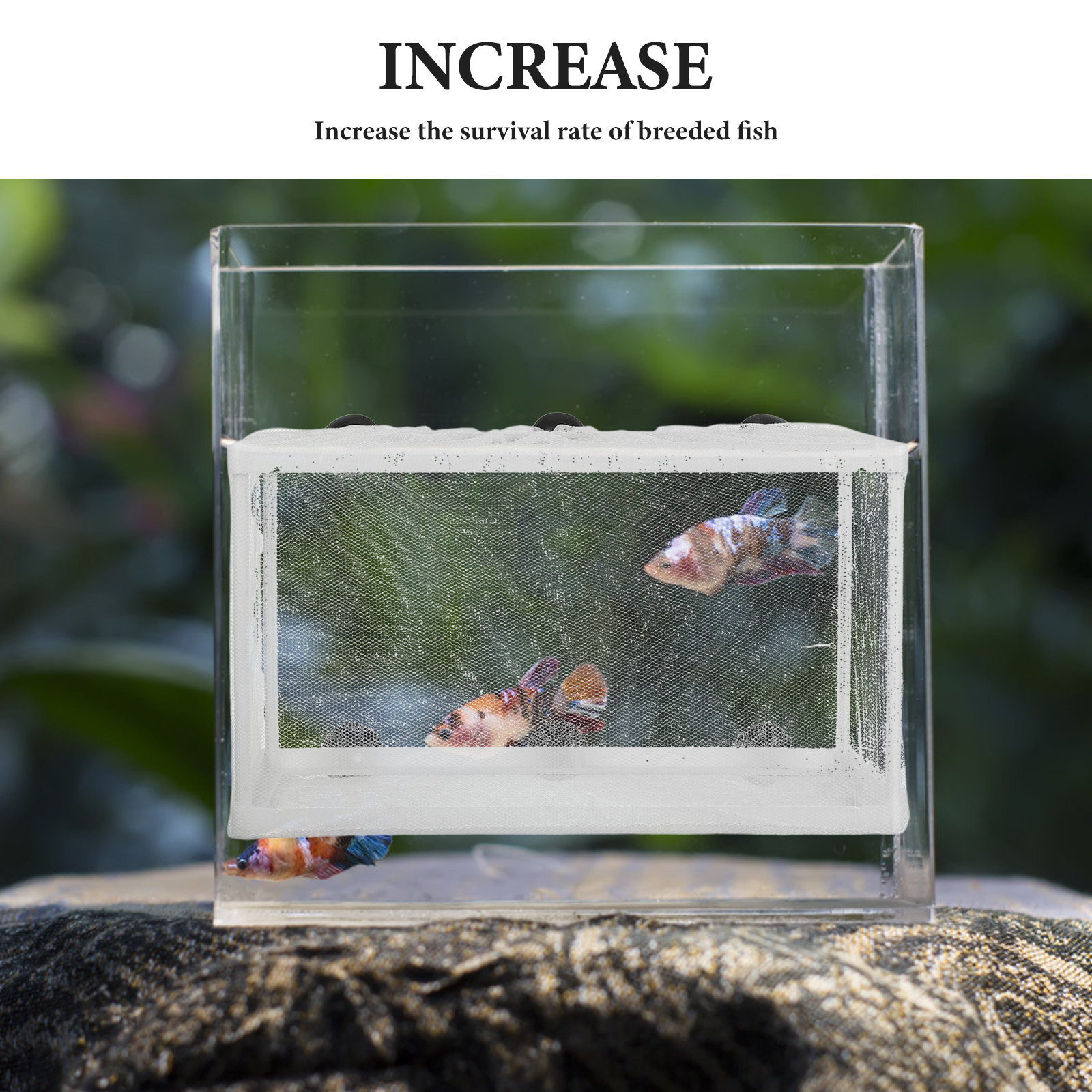 Fish Net Big Size Polyester Ha - Aquarium Fish Net Big Size review and price