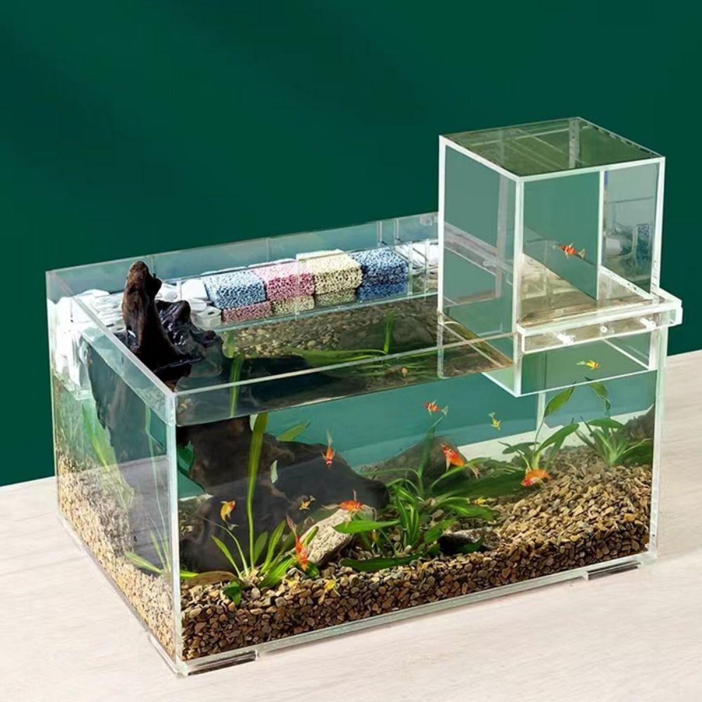 Landscaping Negative Pressure  - Aquarium Xl review and price