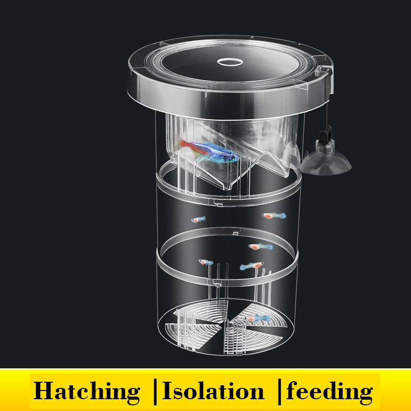 Floating Fish Breeding Isolati - Aquarium Fish Accessories review and price