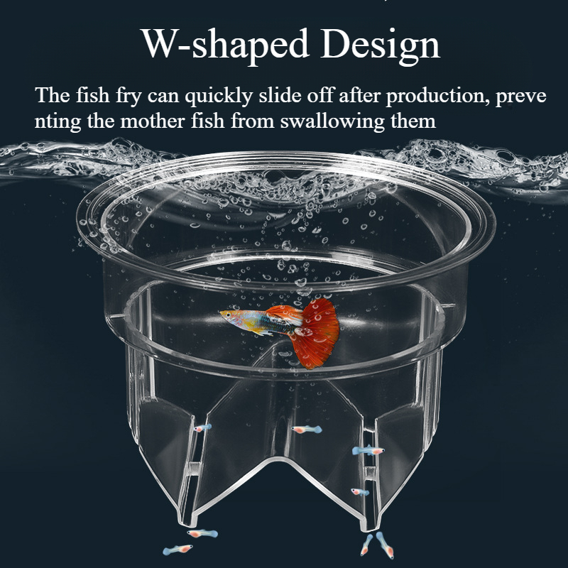 Floating Fish Breeding Isolati - Aquarium Fish Accessories review and price