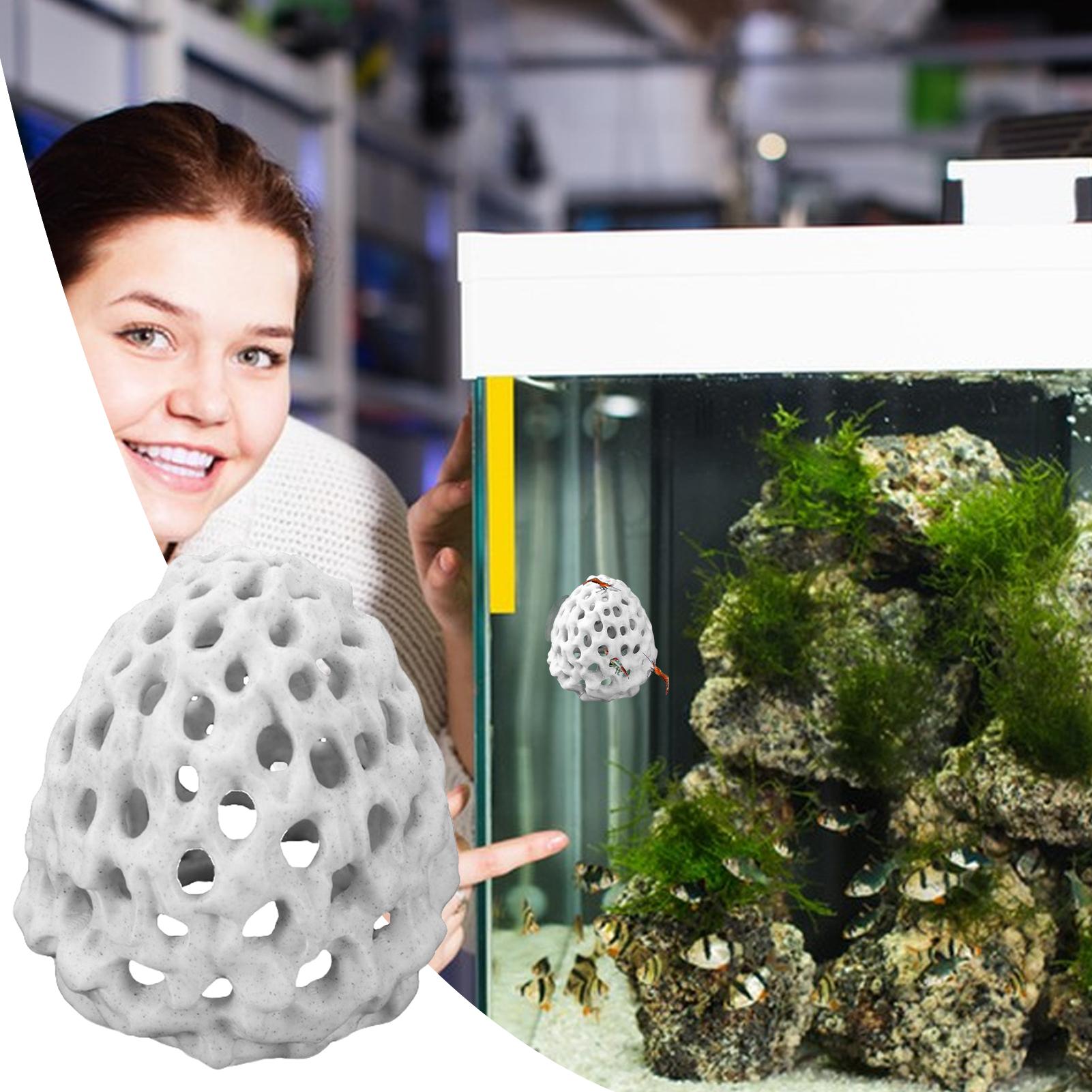 Small Aquarium shrimp house Ca - Aquarium Fish Hiding Spot review and price