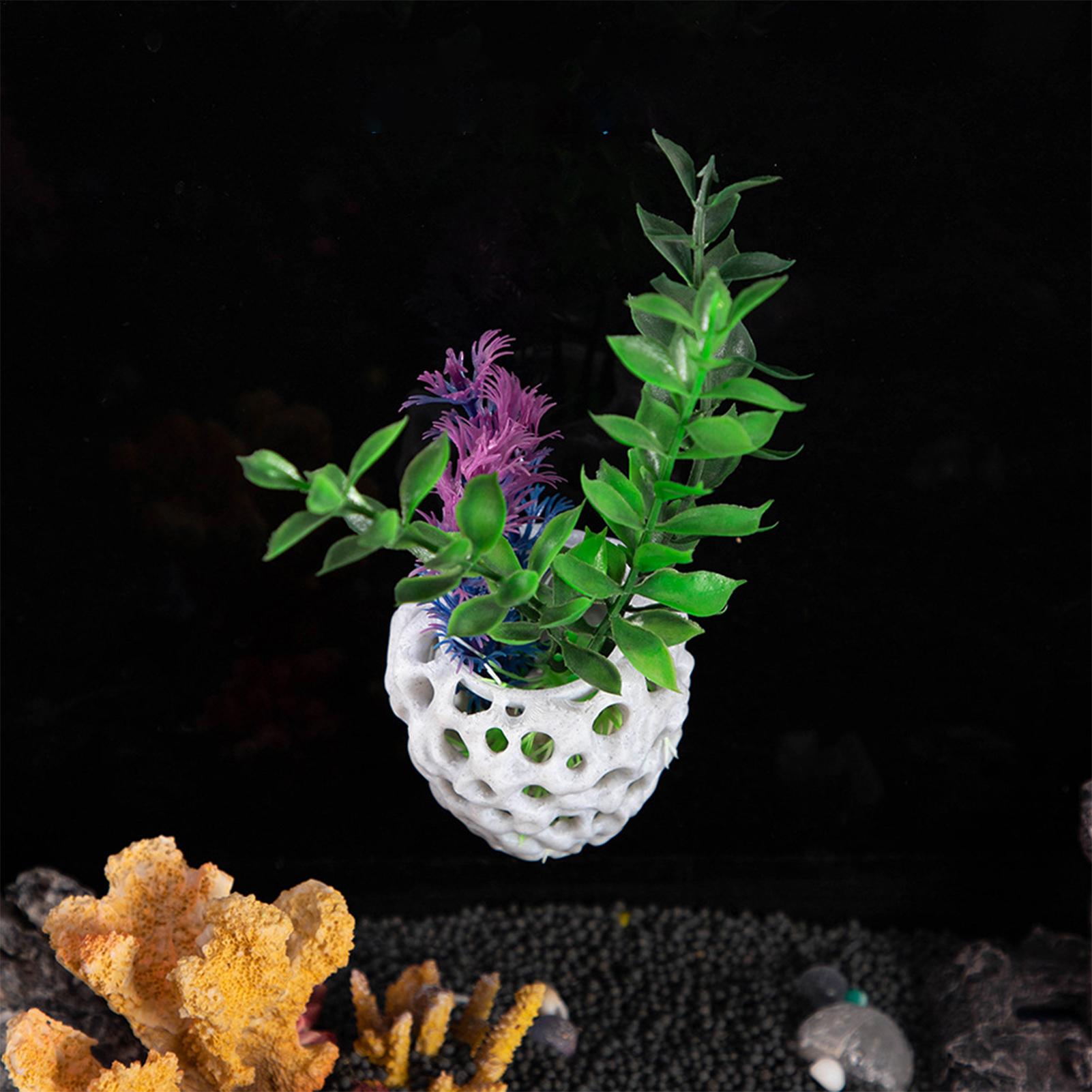 Small Aquarium shrimp house Ca - Aquarium Fish Hiding Spot review and price