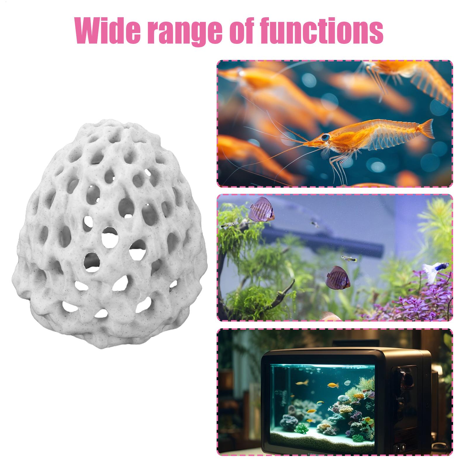 Small Aquarium shrimp house Ca - Aquarium Fish Hiding Spot review and price