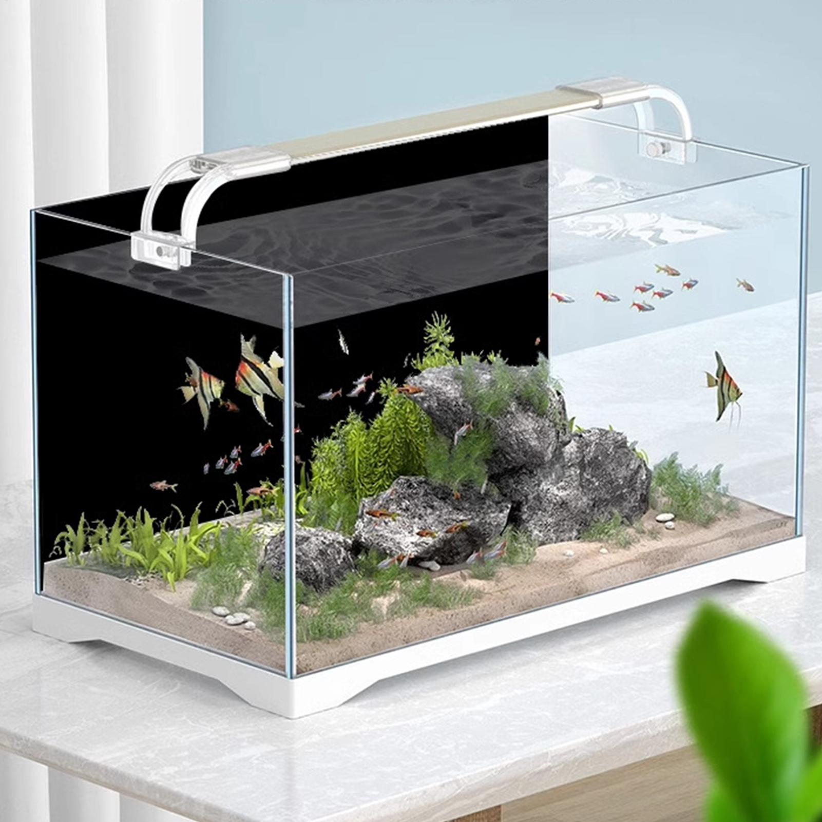 Fish Tank Background Static Cl - Aquarium Fish Poster review and price