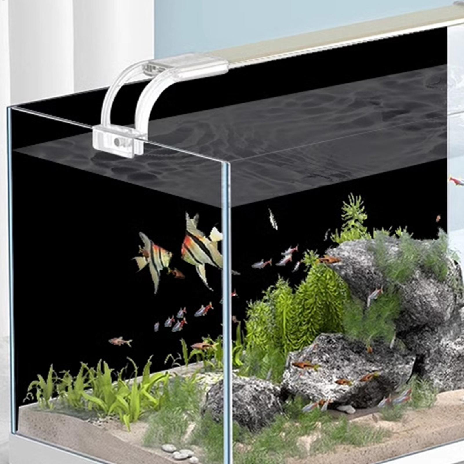 Fish Tank Background Static Cl - Aquarium Fish Poster review and price