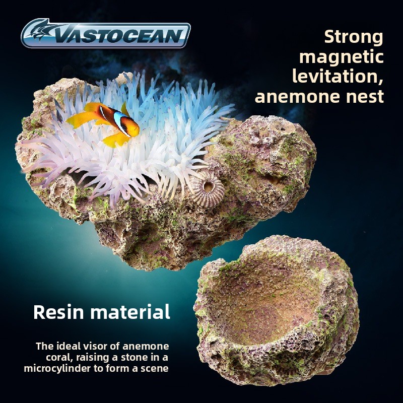 VASTOCEAN Magnetic Anemone Hol - Aquarium Fish Cave review and price