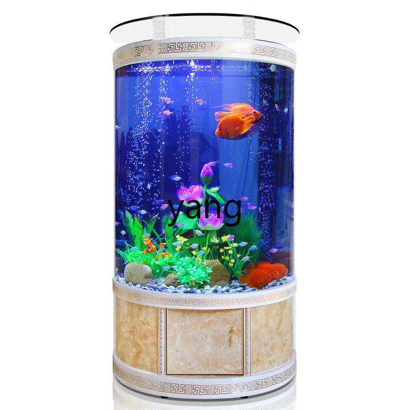 LTT semi-round fish tank aquar - Aquarium Xl review and price