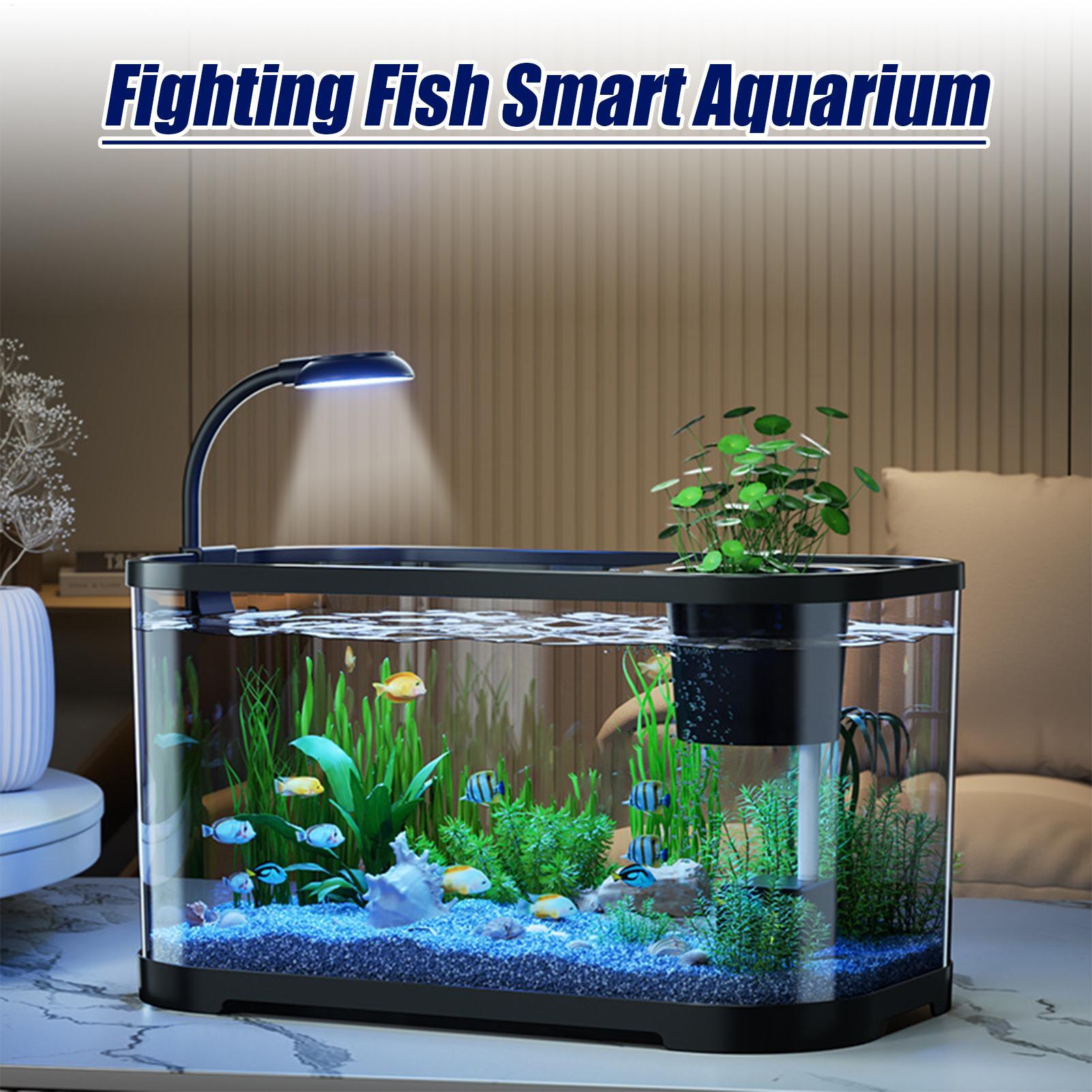 Aquarium Kit Starter Betta Fis - Aquarium Xl review and price
