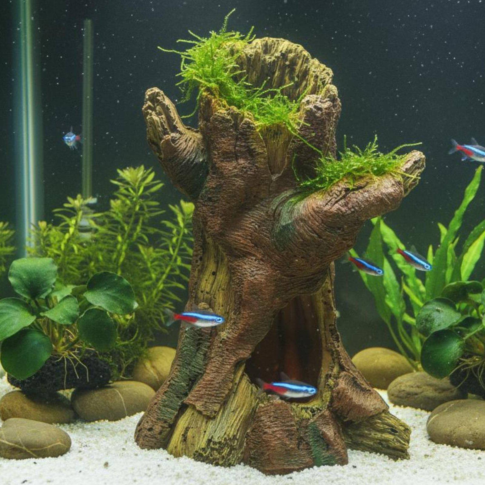 Aquarium Landscaping Decoratio - Aquarium Fish In review and price