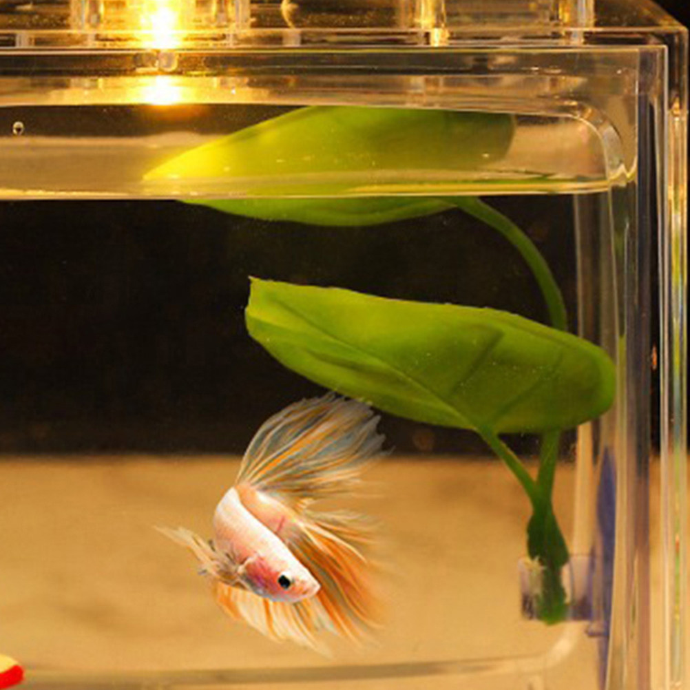 2Pcs Betta Leaf Sleeping Hammo - Aquarium Fish Hiding Spot review and price