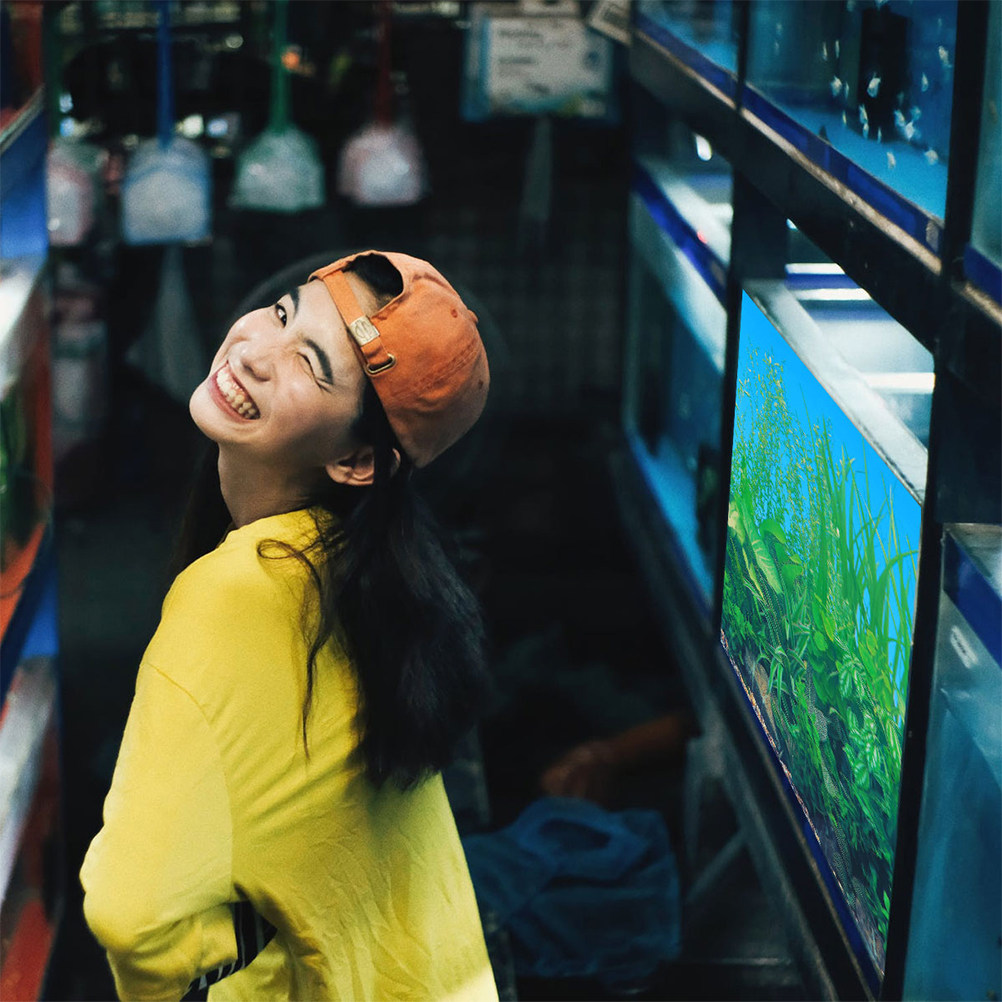 Fish Tank Background Paper Thi - Aquarium Fish Poster review and price
