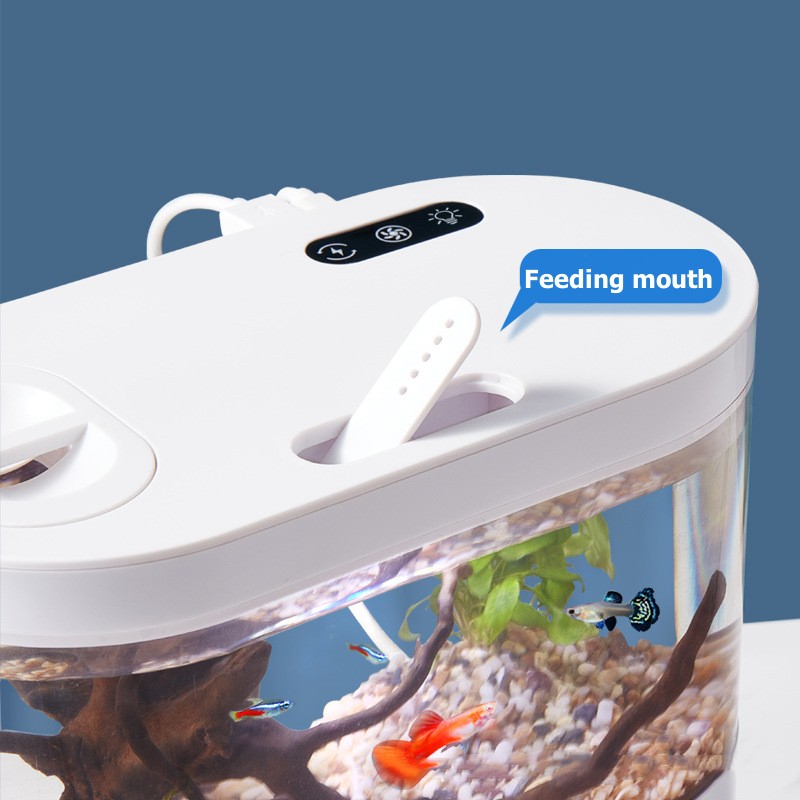 Mini Desktop Aquarium Fish Tan - Aquarium Xl review and price