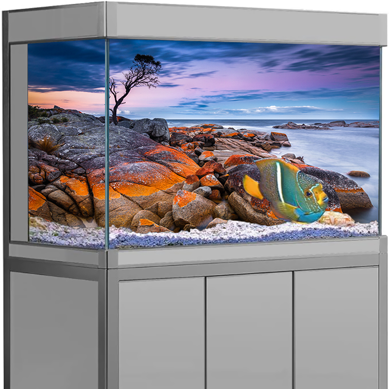 Aquarium Background Sticker St - Aquarium Fish Poster review and price
