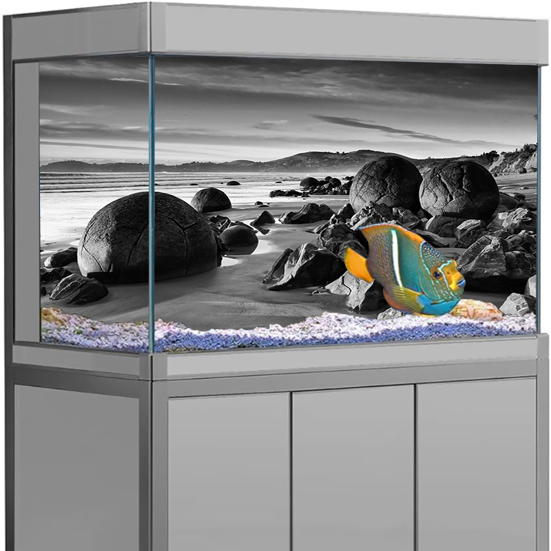 Aquarium Background Sticker St - Aquarium Fish Poster review and price