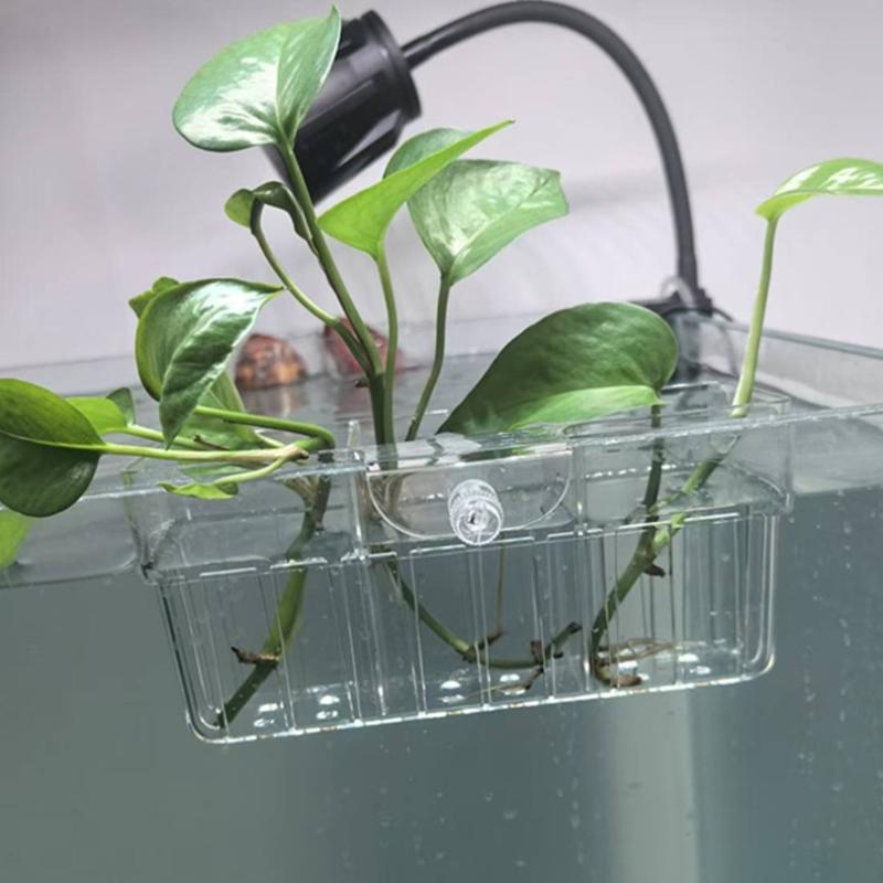 Hydroponic Plant Basket Food G - Aquarium Fish In review and price