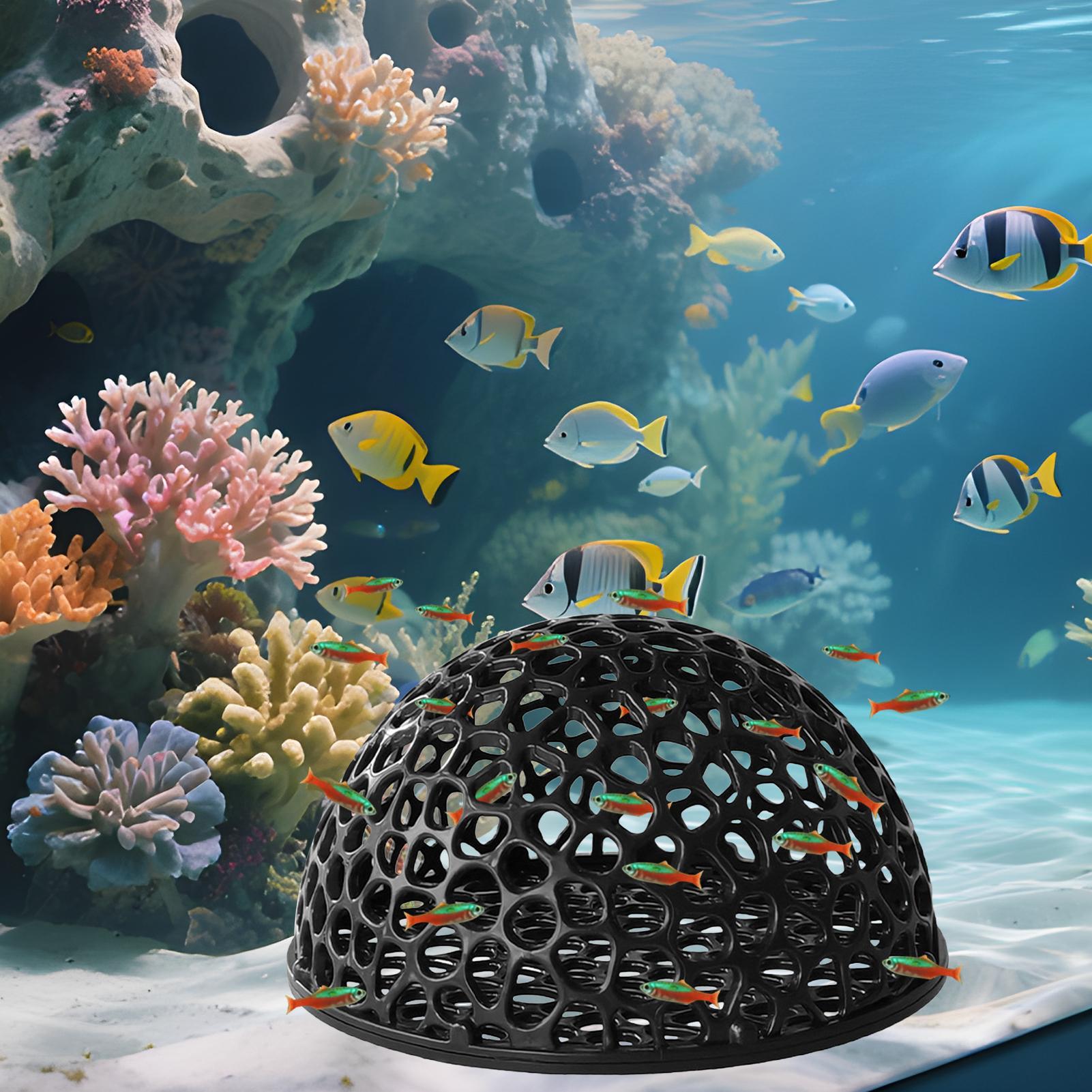 Aquarium Shrimp House Cave Min - Aquarium Fish Hiding Spot review and price