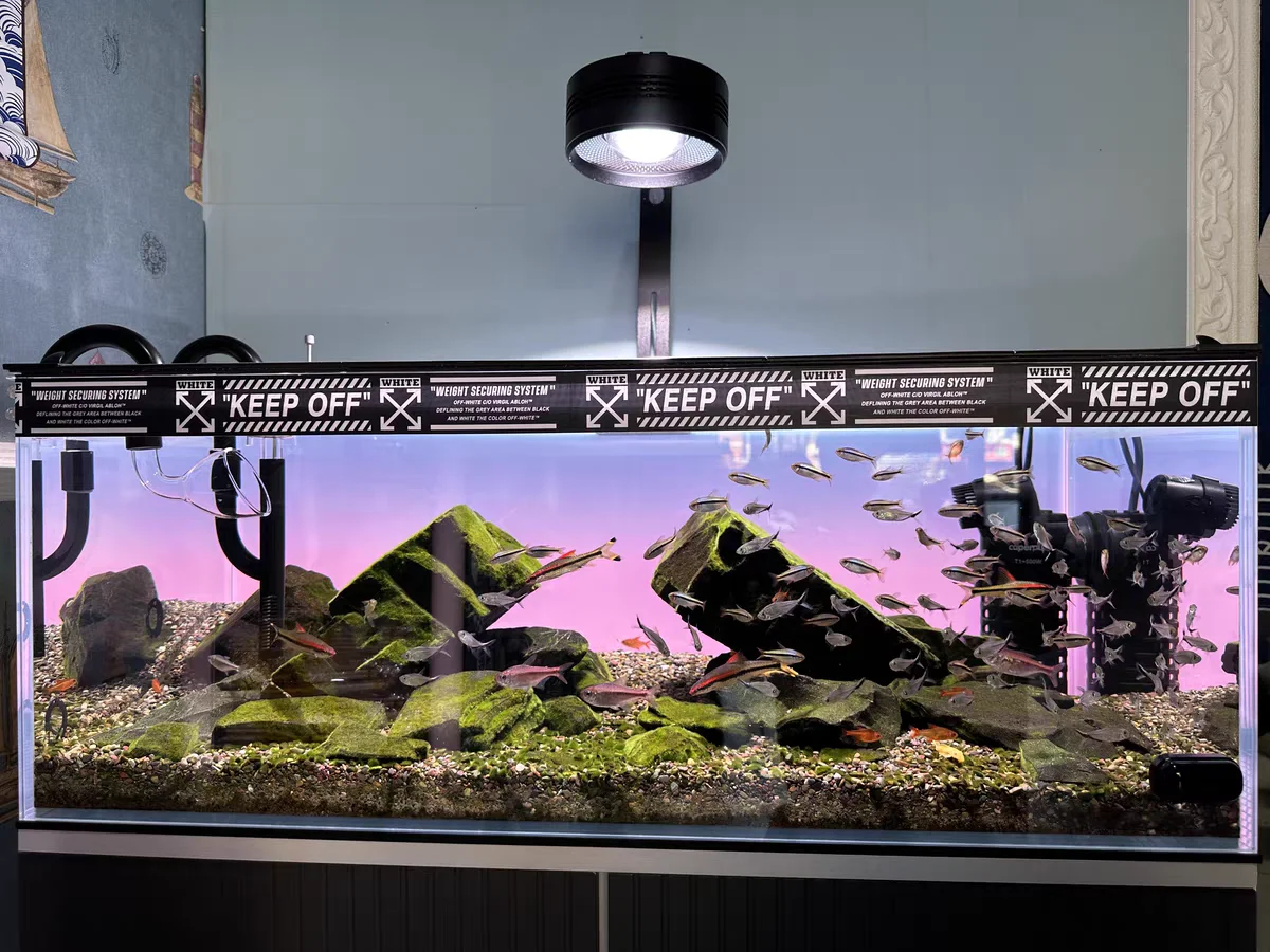 RGB Acrylic Fish Tank Backdrop - Aquarium Fish Colour review and price