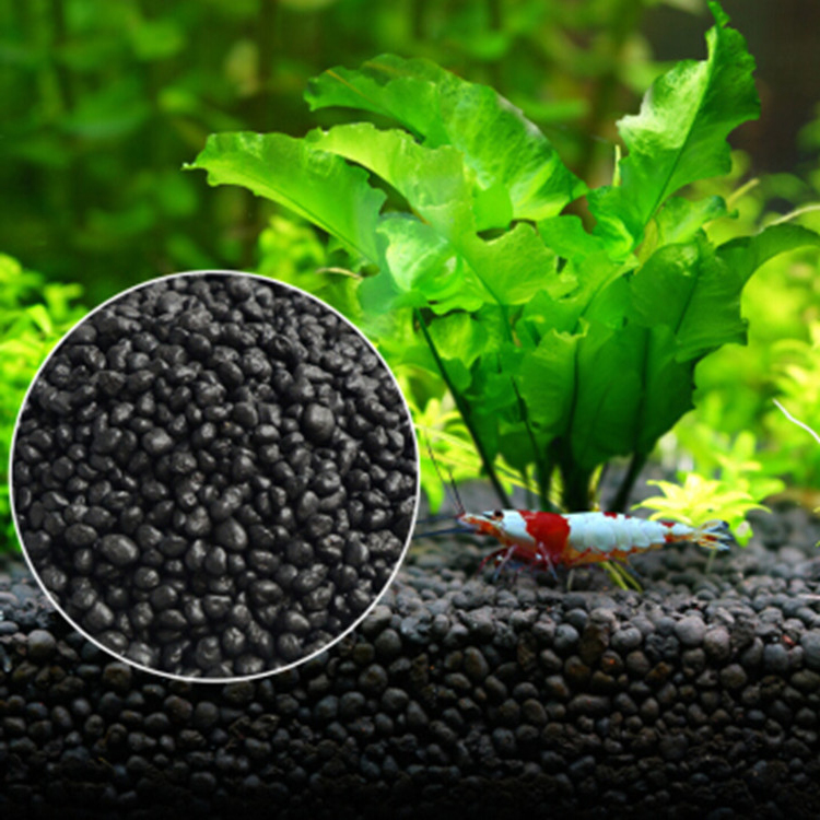 Aquarium Plant Seeds Soil Fish - Aquarium Fish Accessories review and price