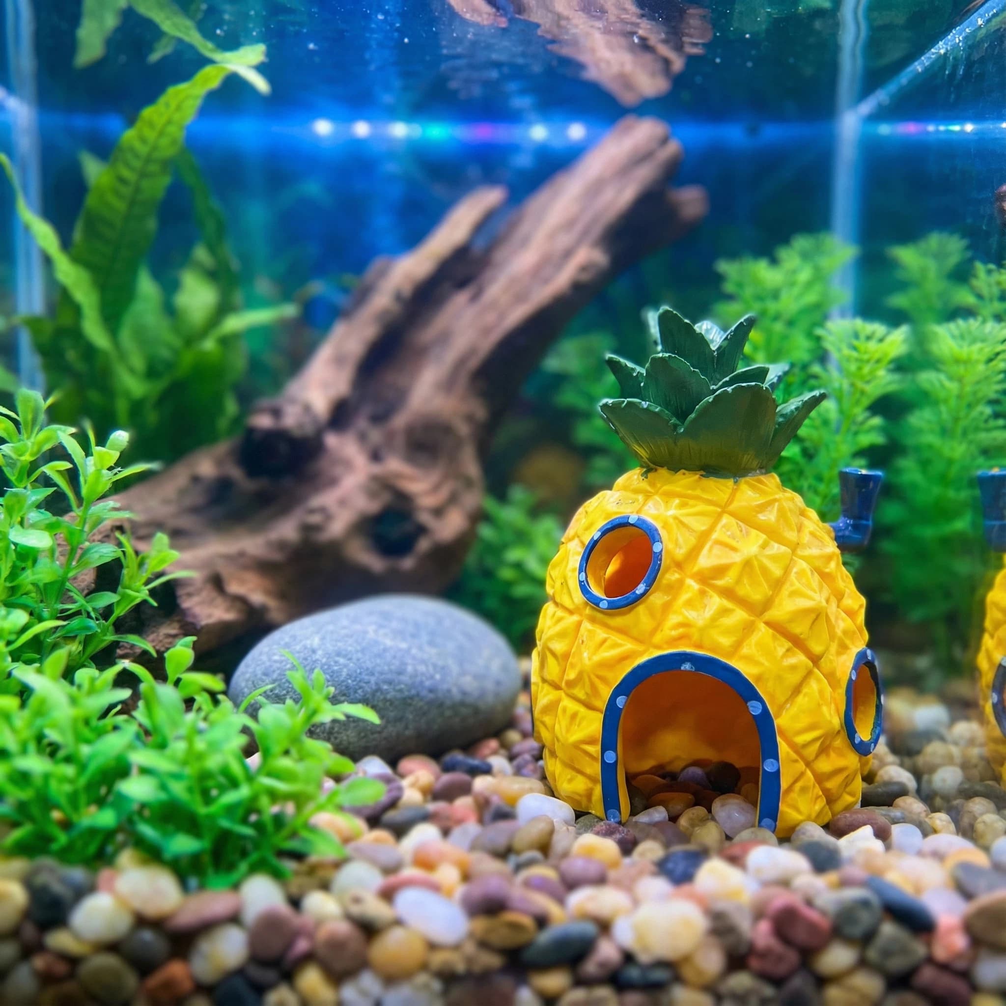 Pineapple House Aquarium Decor - Aquarium Fish Cave review and price