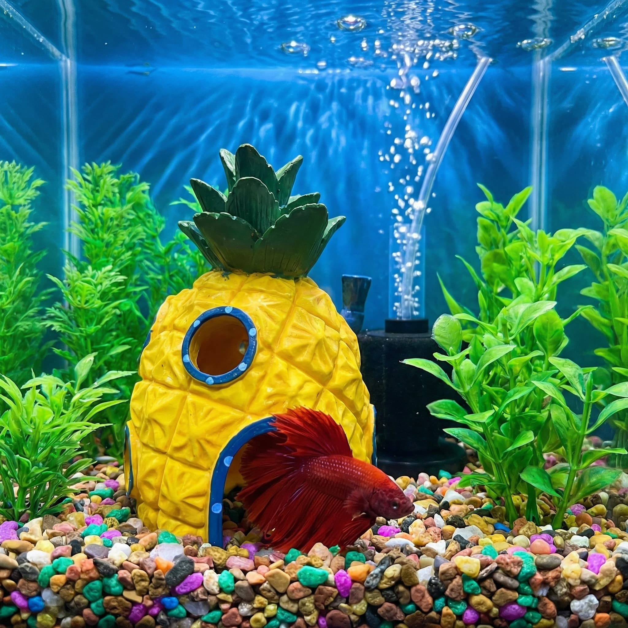 Pineapple House Aquarium Decor - Aquarium Fish Cave review and price