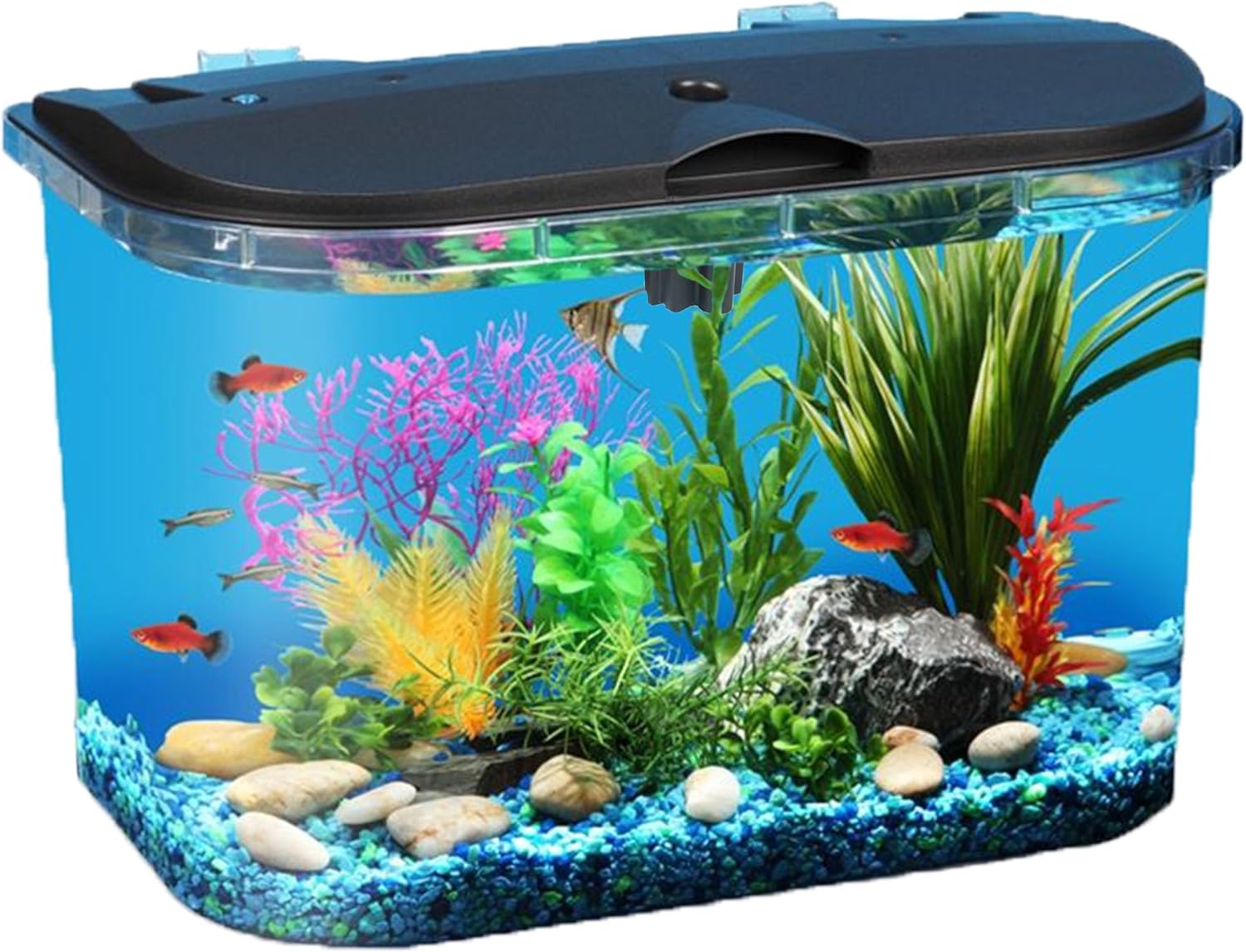 5-Gallon Aquarium Kit with LED - Aquarium Fish Variety review and price